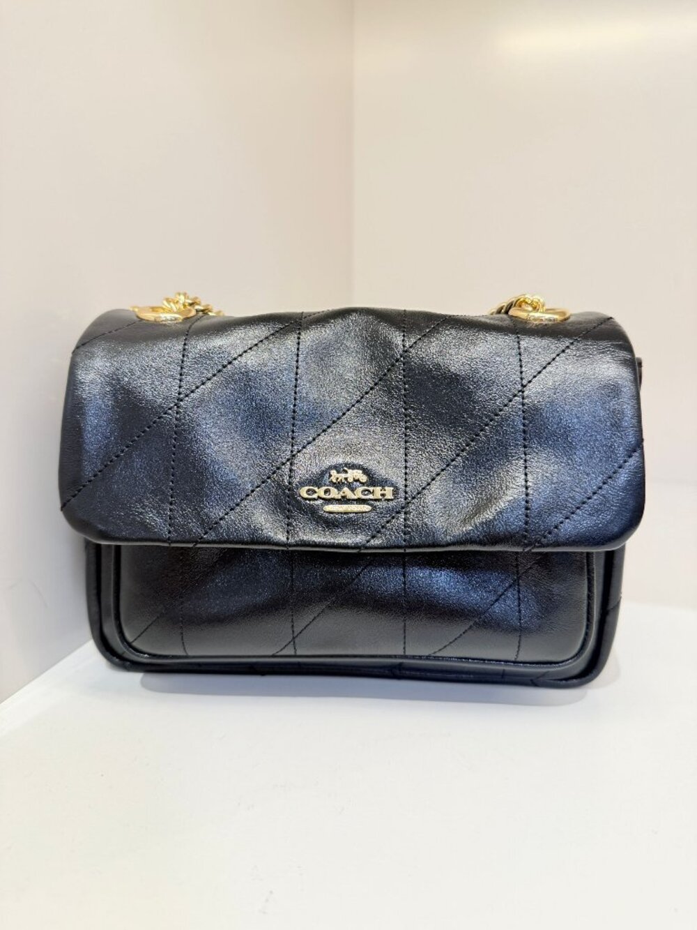 coach Elodie Crossbody Bag 18 With Quilting ceu14